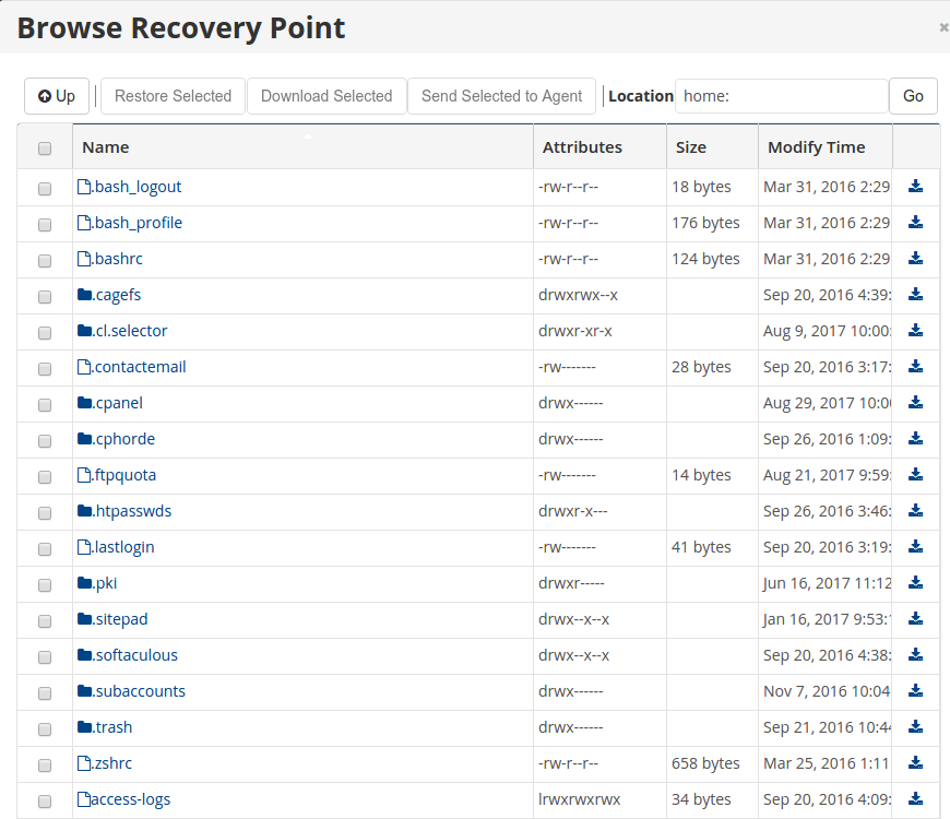 cPanel Browse Recovery Point