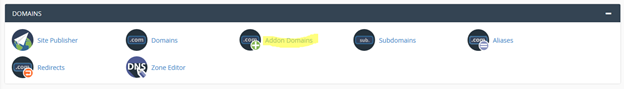 cPanel Addon
