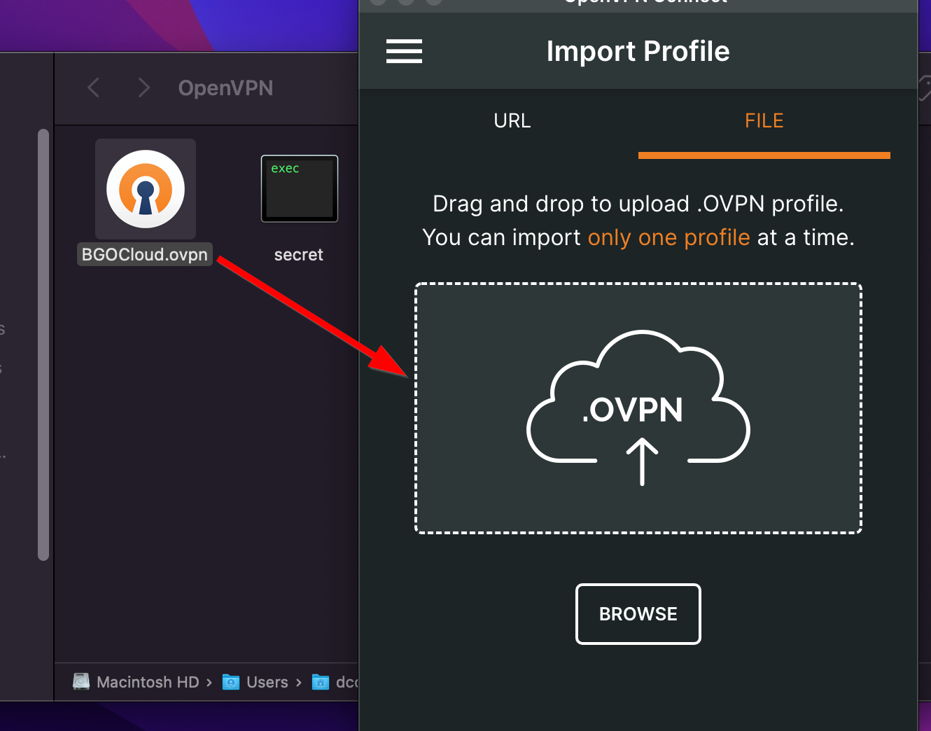 Dragging OpenVPN Configuration to the client