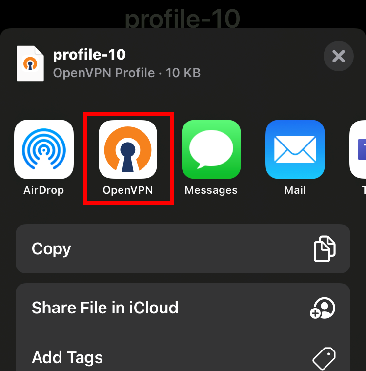 Tapping on the OpenVPN Connect Client