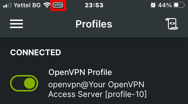 Connected to the BGOcloud OpenVPN AS