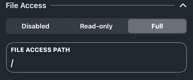 File access menu options.