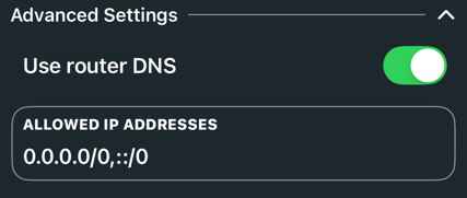 Advanced connection settings, pick DNS and allowed IPs.