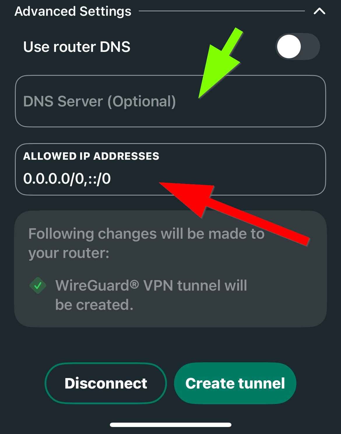 Advanced options when Use Router DNS is off.