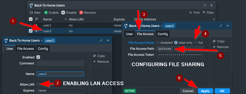 Allowing file access and LAN acces